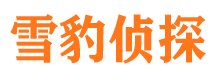 上高寻人公司